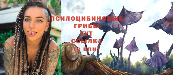 таблы Михайловск